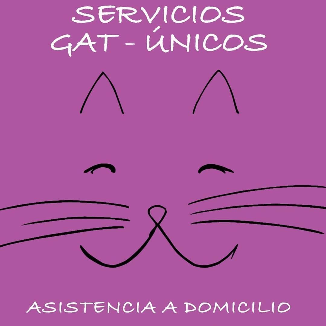 Servicios Gat-Únicos. Alba Dencausa Vendrell. Asistencia para gatos a domicilio. Canguro para gatos. Catsitter. Barcelona.