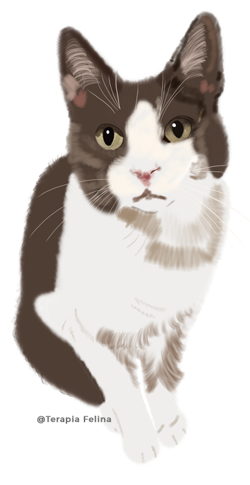 Ilustración digital de un gato marrón y blanco sentado.