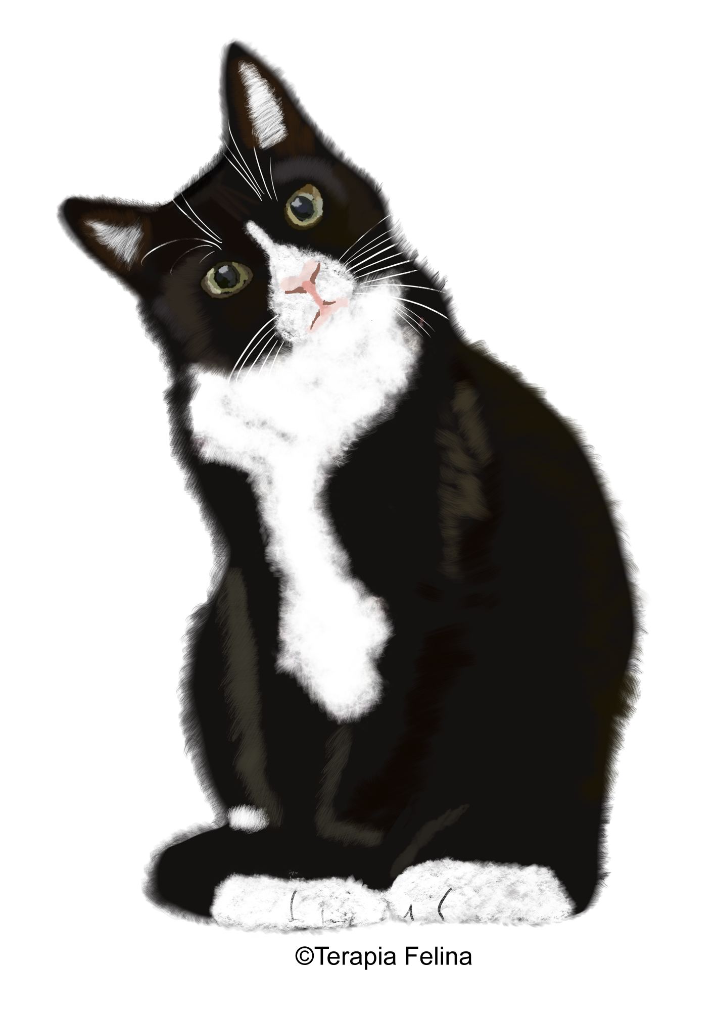 Ilustración digital de un gato negro y blanco inclinado hacia un lado.
